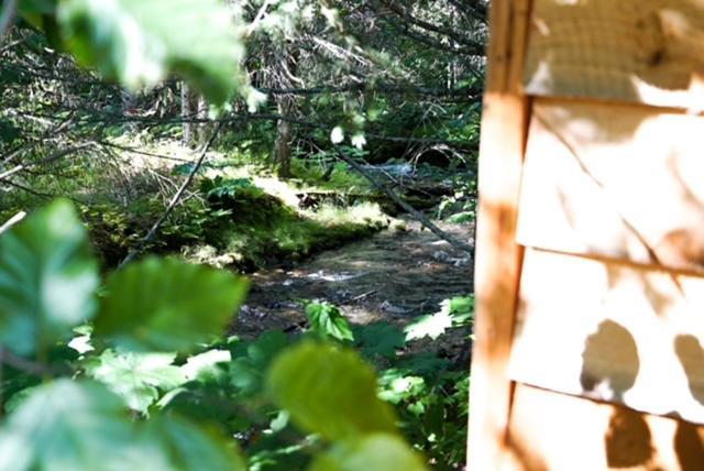 Hope Alaska'S Bear Creek Lodge ภายนอก รูปภาพ