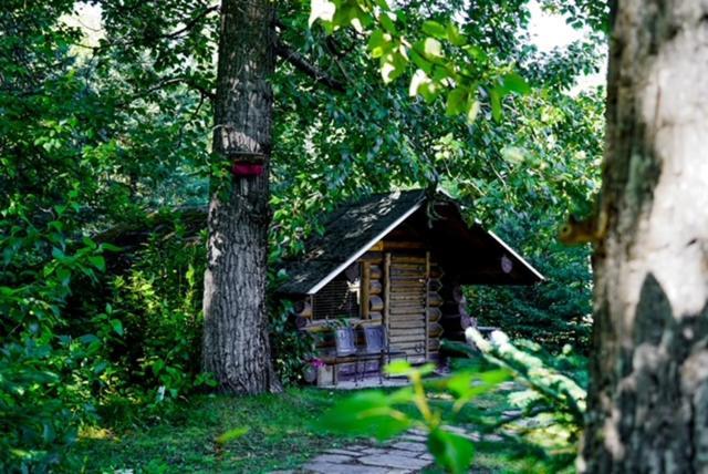 Hope Alaska'S Bear Creek Lodge ภายนอก รูปภาพ